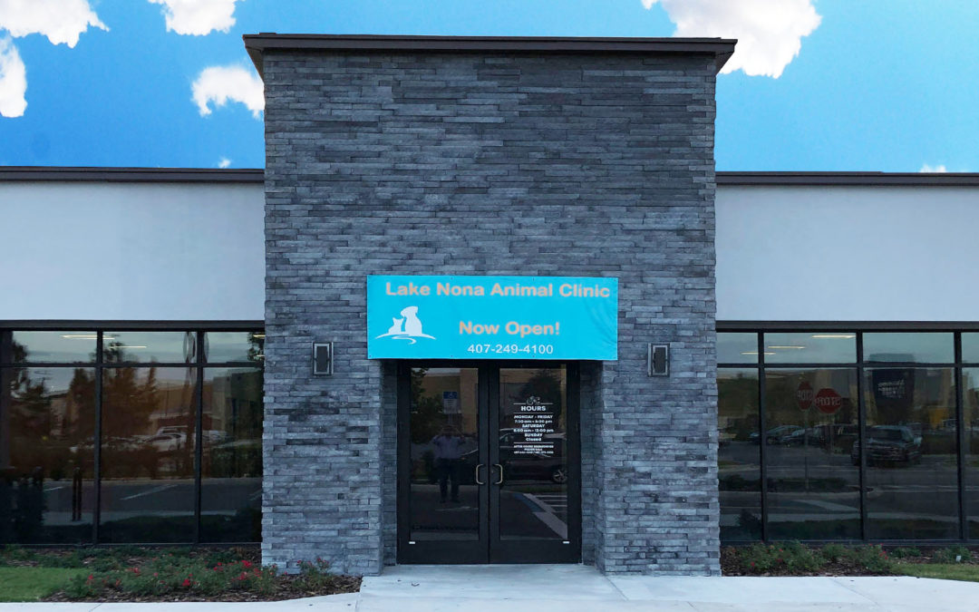 Lake Nona Animal Clinic