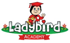 Ladybird Academy